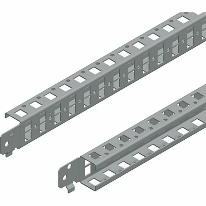 2 однорядные стандартные попеременные рейки SCHNEIDER ELECTRIC SPACIAL 800 NSYSQCR4080