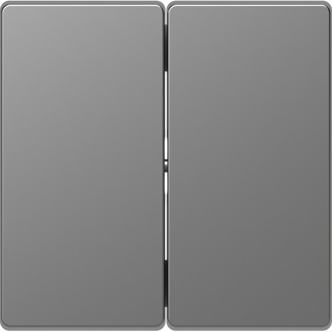 Клавиша двойная MERTEN D-LIFE, НЕРЖ. СТАЛЬ MTN3400-6036