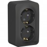 Розетка двойная SCHNEIDER ELECTRIC BLANCA с заземлением, без шторок, с изолирующей пластиной, 16А, 250В, антрацит BLNRA010216