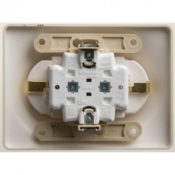 Розетка SCHNEIDER ELECTRIC GLOSSA двойная с заземлением, со шторками, 16А, 250В, в сборе, перламутр
