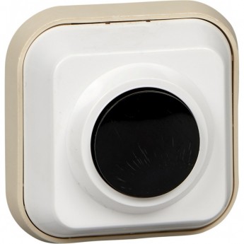 Выключатель кнопочный SCHNEIDER ELECTRIC ПРИМА 250В 0.4А для электрозвонков DIY Выключатель кнопочный SCHNEIDER ELECTRIC ПРИМА 250В 0.4А для электрозвонков DIY